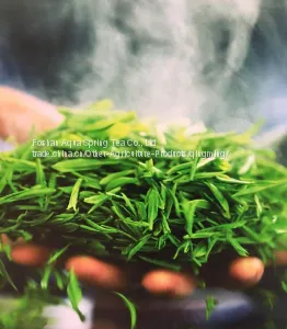 Euro Standard Green Tea thumbnail-1