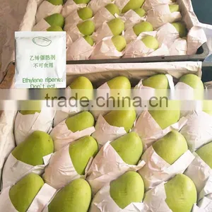 2017 the Lowest Price but the Good Quality Mango Ripener Ethylene(9) thumbnail-2