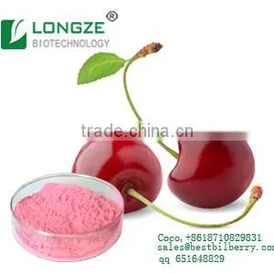 Acerola Cherry Fruit Powder West Indian Cherry Powder With VC Reaching 25% by Solvent Metnod thumbnail-1