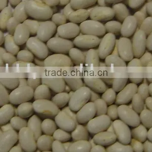 Organic White Kidney Bean thumbnail-1