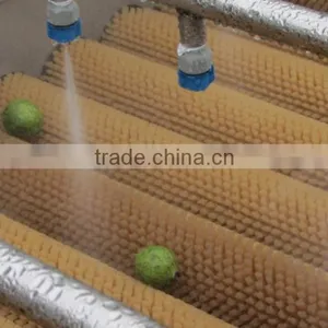 Full Automatic Indstrail Melon Washing and Drying Machine thumbnail-4