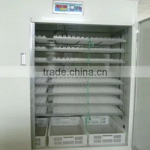 MJB-2 Model 1584pcs Egg Incubator Mujia Incubator for Sale Egg Incubator thumbnail-1