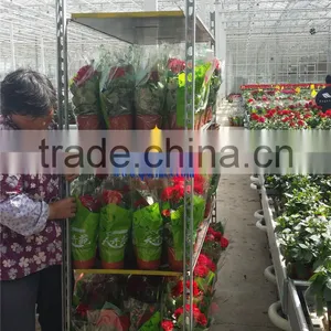 5Danish Flower Trolley Display Cart thumbnail-3
