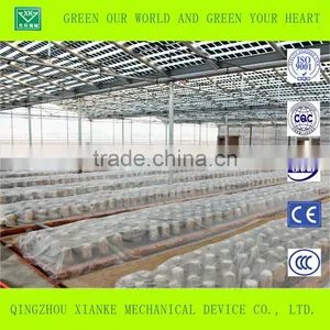 Double-layer Film Greenhouse for Seeding thumbnail-1