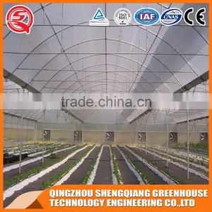 Multifunction Plastic Film Greenhouse for Vegetables Planting,flowers,culture thumbnail-2
