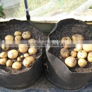 Nonwoven Disposable Plant Pot and Geo-bags for Plant (1 Gal to 1200 Gal) Flower Pot Holders Oem thumbnail-4