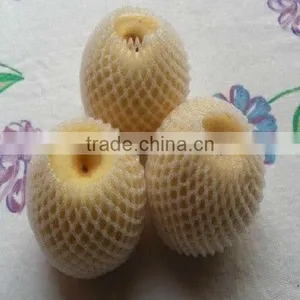 EPE Plastic Fruit Packaging Fruit Protection Net for Papaya thumbnail-2
