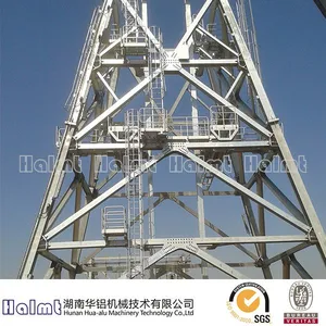 Multisection Aluminum Fixed Ladder for Industry thumbnail-1