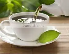 Organic Green Tea For OEM thumbnail-2