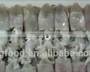 Frozen Squid Baby thumbnail-1