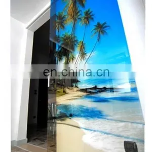 10mm, 12mm Silk Screen Printing Tempered Glass for Wardrobe Door thumbnail-5