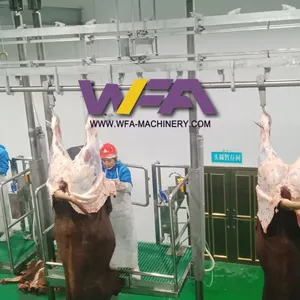 Cattle Slaughter Line Abattoir Equipment Slaughtering Line Butcher Machine Bleeding Conveyor thumbnail-5
