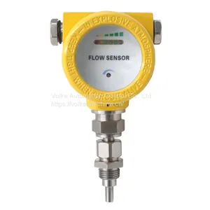 Hot Selling Flow Switch Sensor Liquid Digital Flow Switch FGS thumbnail-1