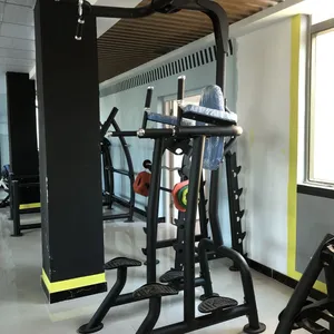 Fitness Tree Commercial Gym Equipment Vertical Leg Raise Machine thumbnail-4