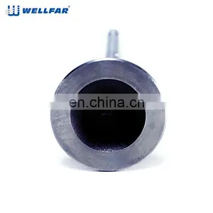 Factory Price 7700107489 / 7701471378 / 7701472124 Engine Valve for RENAULT thumbnail-3