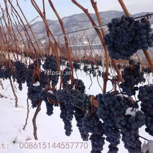 Ice Wine Wine Estate Ice Wine thumbnail-2