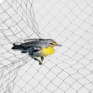 Batawa Agriculture Crop Protection Pole Trapping Barrier Control Hunting Polyster Anti Mist Mesh Bird Net Price thumbnail-2