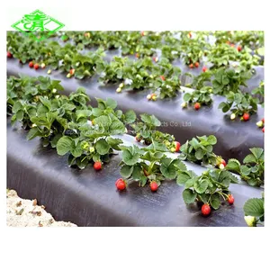 Garden Weed Control Plastic Greenhouse Mulching Film thumbnail-1
