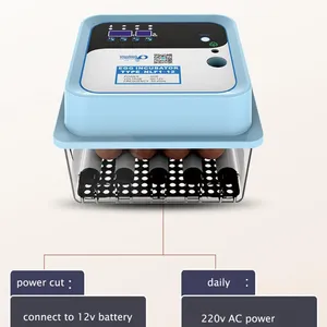 220v+12v Automaitic Egg Turning Mini Chicken Incubator for Home Use thumbnail-2
