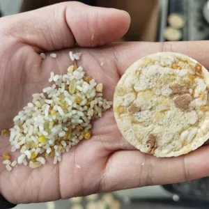 Automatic Triangle Popcorners Make Machine/Corn Chips Making Machinery Jinan Dg Machinery/Rice Cake Machine thumbnail-4