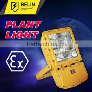 BFC8110/HN Explosion Proof Floodlight thumbnail-1