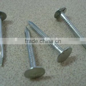 Galvanized Coated Broad Head Nails thumbnail-2
