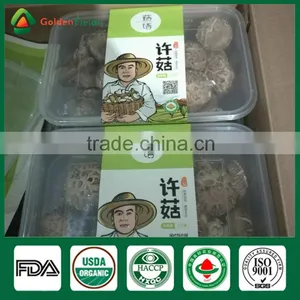 Mushroom Seller Agricultural Products Vegeatable Fresh Dried Shiitake Mushroom Log Shiitake Mushroom Spawn for Mushroom Farm thumbnail-6