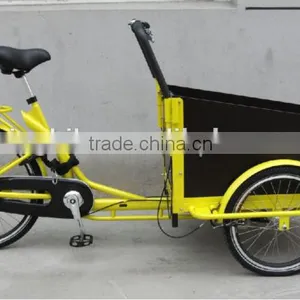 Electric Tricycle Cargo Bike, Electric Tricycle, Electric Rickshaw thumbnail-1