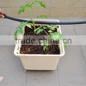 Commercial Duch Buckets for Tomatoes thumbnail-3
