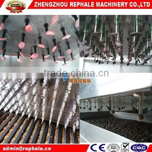 Hot Pepper Seed Planter Form Zhengzhou REPHALE Machiney thumbnail-1