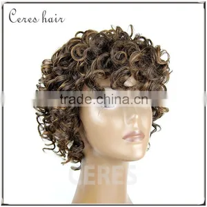 100% Premium Synthetic Wig Short Wig Afro Kinky Curly Wig for Black Women thumbnail-4
