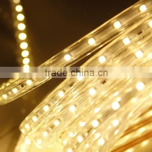 Warm White Single Color 12v Led Strip Light 2835 Smd Led Strip Led Rope Light thumbnail-3