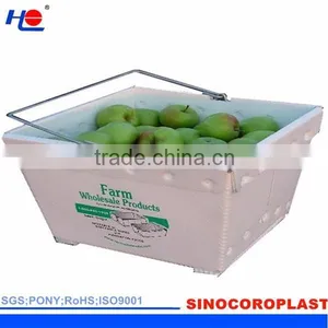 Plastic Fruit Packaging Box thumbnail-2