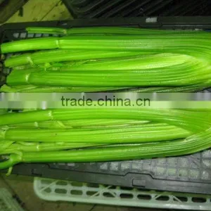 Fresh Mix Vegetable From All China Around thumbnail-5