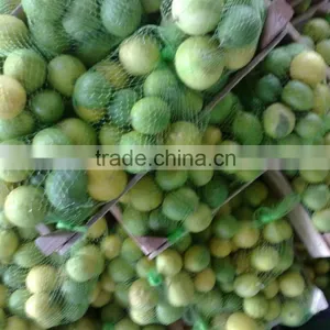 Fresh Lime thumbnail-1