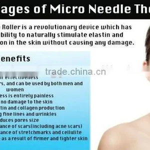 Skin Care Product Zgts Derma Roller Titanium for Hair Loss Treatment thumbnail-4