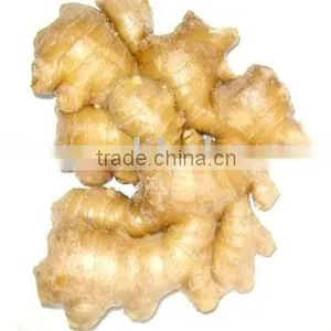 Ginger thumbnail-1