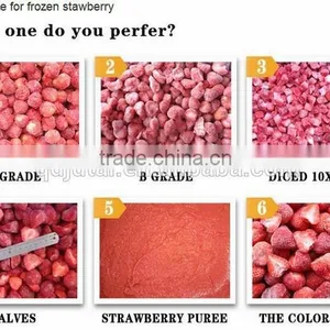 BQF Frozen Strawberry thumbnail-1
