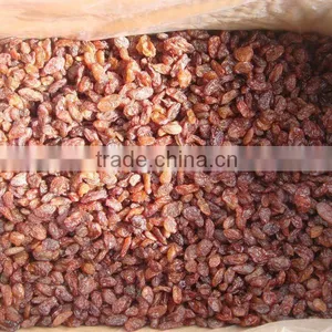 DRIED SULTANA RAISIN thumbnail-1