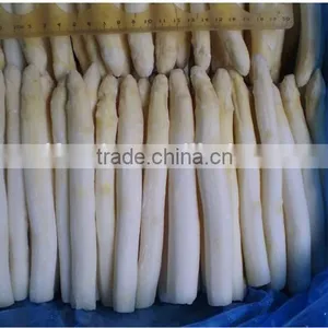 Frozen IQF White Asparagus,Grade A thumbnail-3