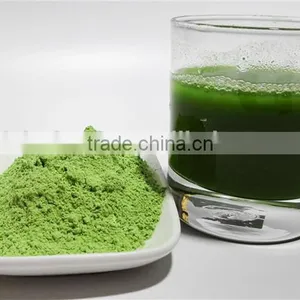 AD Type Dried Broccoli Powder Broccoli Sprout Powder thumbnail-1