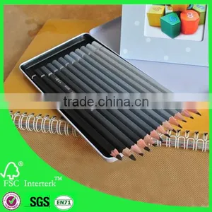Hexagon Charcoal Pencil Set Charcoal Pencils Sketch Drawing thumbnail-1
