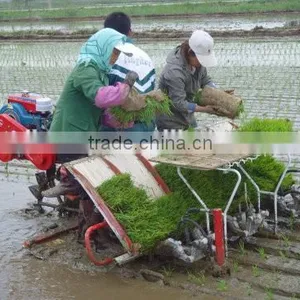 Mechanical Rice Seeder thumbnail-3