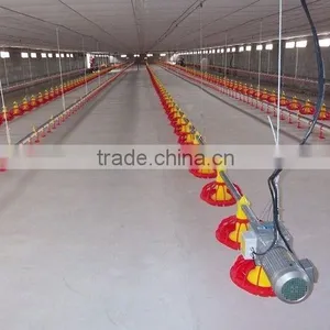 Newly-developed Farm Automatic Chicken Feeding System thumbnail-2