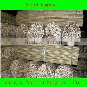 Tonkin Cane Bamboo/Bamboo Cane/Bamboo Pole Manufacture thumbnail-1