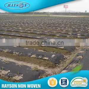 Hot Products Non-Woven Agriculture Black Plastic Mulch Film thumbnail-3