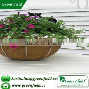 Garden Planter,Decorative Garden Planter With Coco Liner thumbnail-1