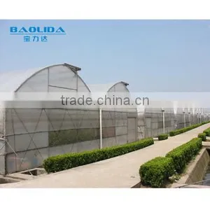 Multi Span Polythene Film Covered Greenhouse for Vegetables thumbnail-1