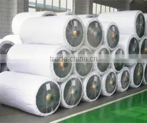 Nylon-6 Dipped Tyre Cord Fabric thumbnail-3