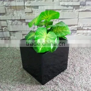 Fiberglass Modern Black Smoothly Rectangular Planter Boxes thumbnail-1
